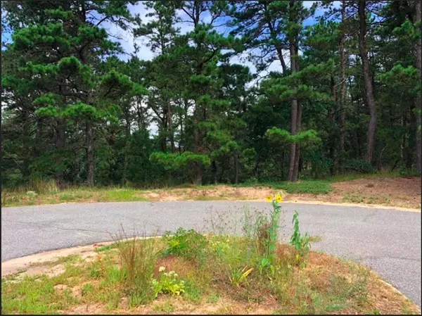 Wellfleet, MA 02667,80 Homestead Ln