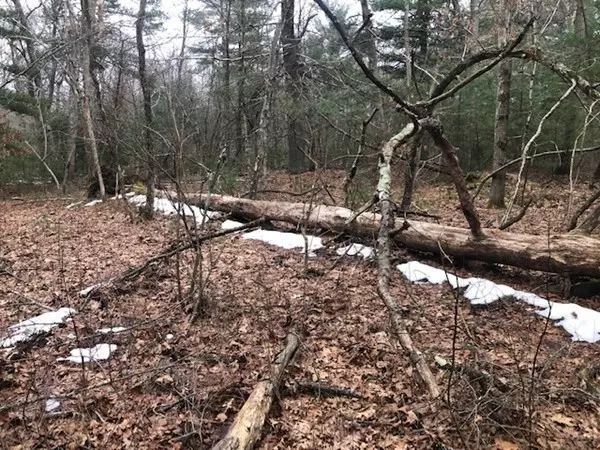 Plainville, MA 02762,112 East Bacon Street