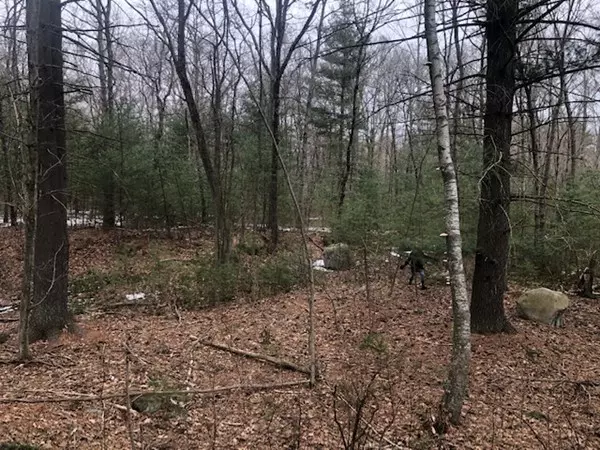 Plainville, MA 02762,112 East Bacon Street