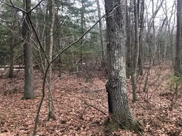 Plainville, MA 02762,112 East Bacon Street