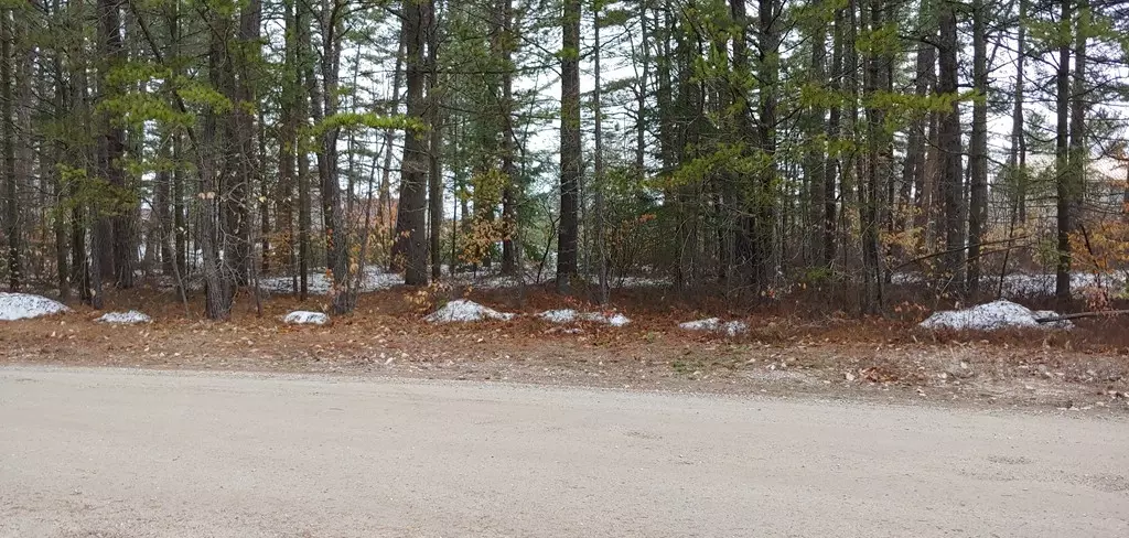 Tamworth, NH 03886,Lot 31 E Chocorua River Dr