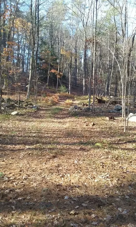 Leverett, MA 01054,Lot 1 Montague Rd