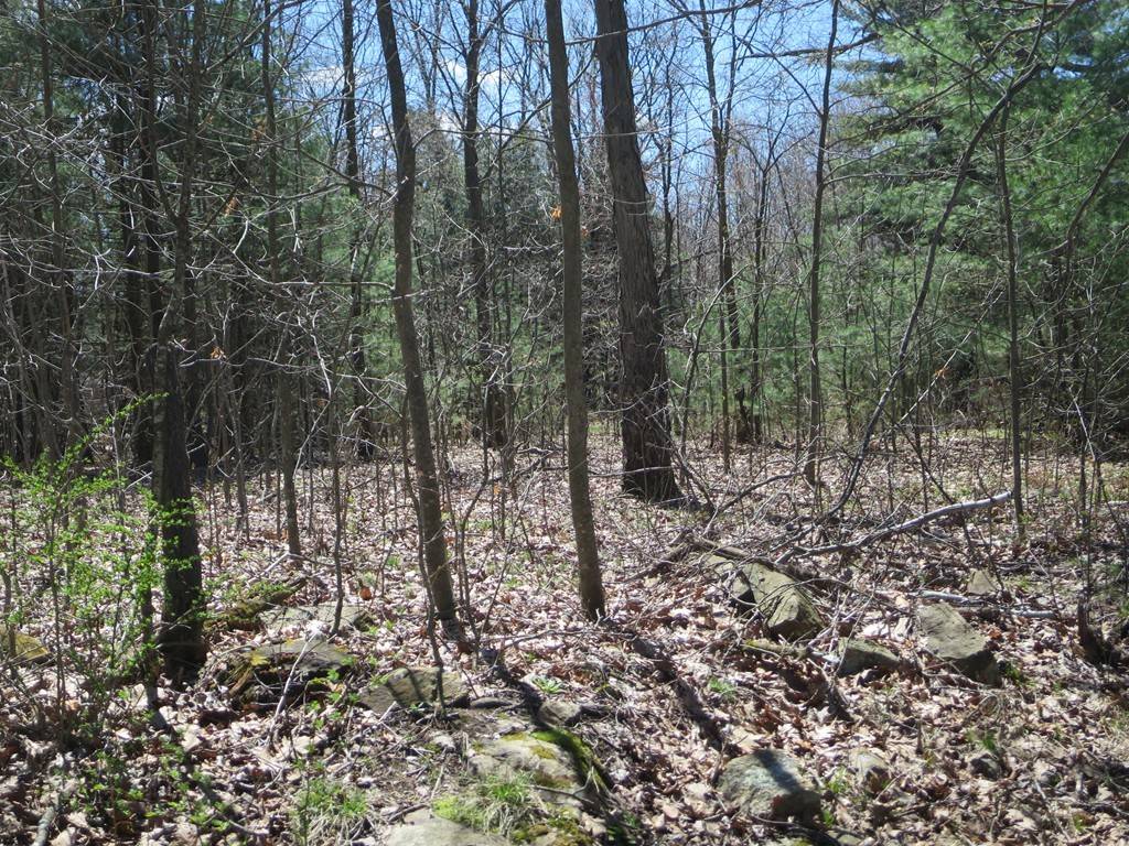 Brimfield, MA 01010,7A St. George Road