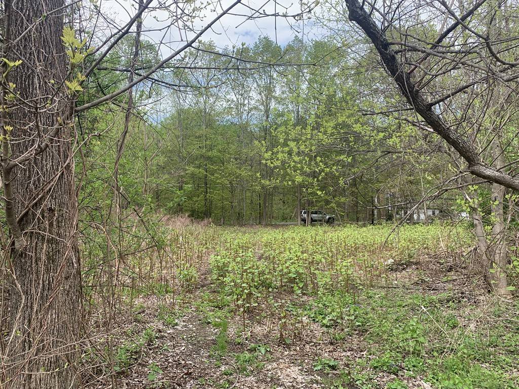 Littleton, MA 01460,73 Hartwell Ave
