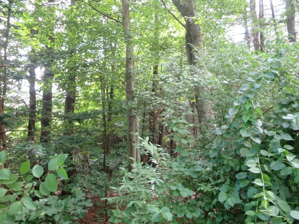 Palmer, MA 01069,Lot 18 Mason Street