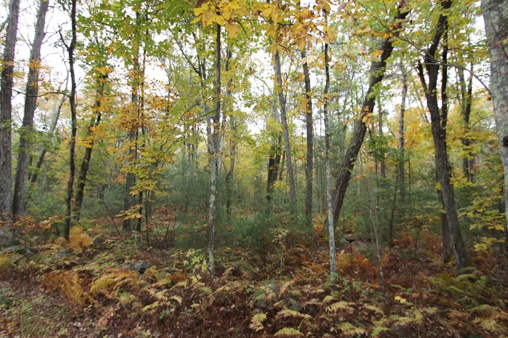 Grafton, MA 01519,163 Upton Street