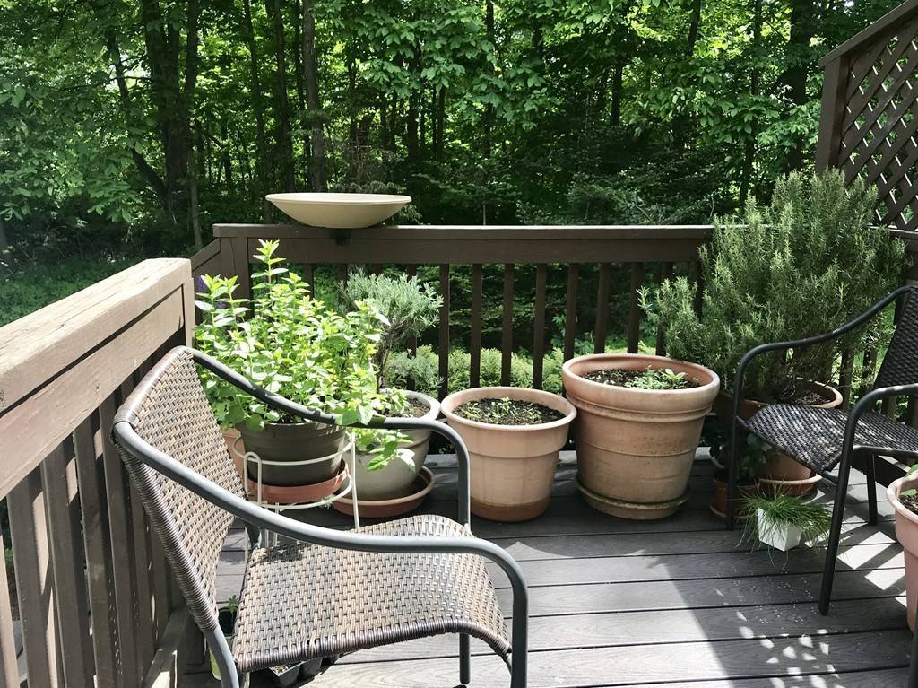 Northampton, MA 01060,266 Grove St #26