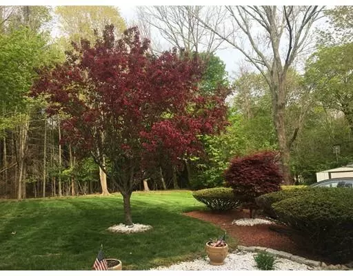Abington, MA 02351,58 Progress St
