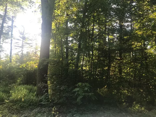 Rutland, MA 01543,Lot 11 C3 Ridge Road
