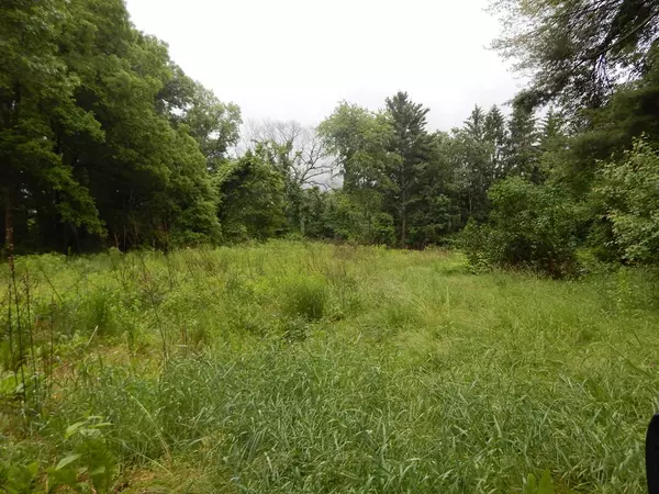 Sutton, MA 01590,81 Purgatory Rd