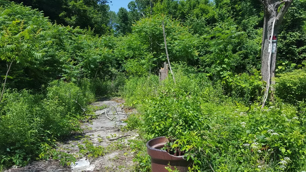 Sturbridge, MA 01566,215 Shepard Rd