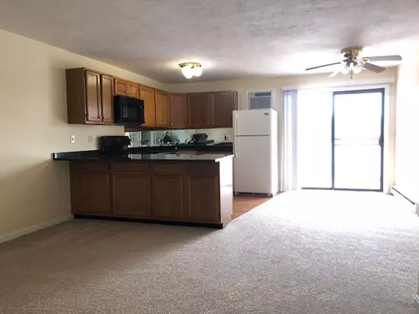 Worcester, MA 01605,71 Edgeworth St #11