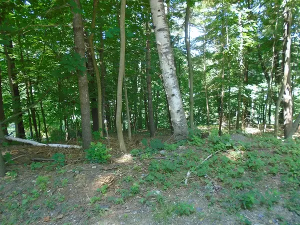 Worcester, MA 01602,55 Drexel