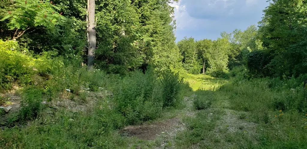 Southbridge, MA 01550,Lot 0 Lebanon Hill Road
