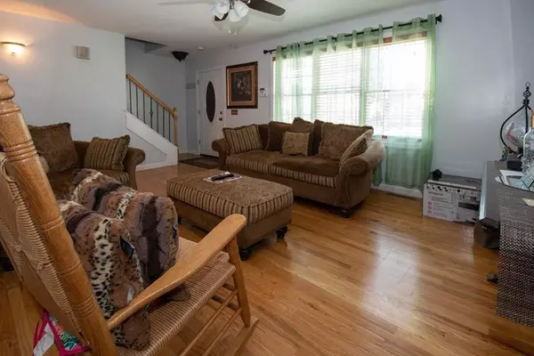 Springfield, MA 01104,19 Eddy St