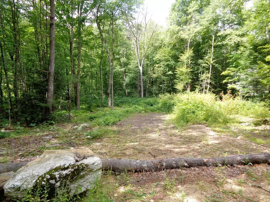 Sturbridge, MA 01518,121 Paradise Ln