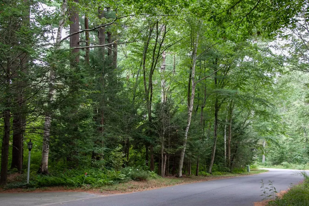 Acton, MA 01720,6 (B) Partridge Pond Rd