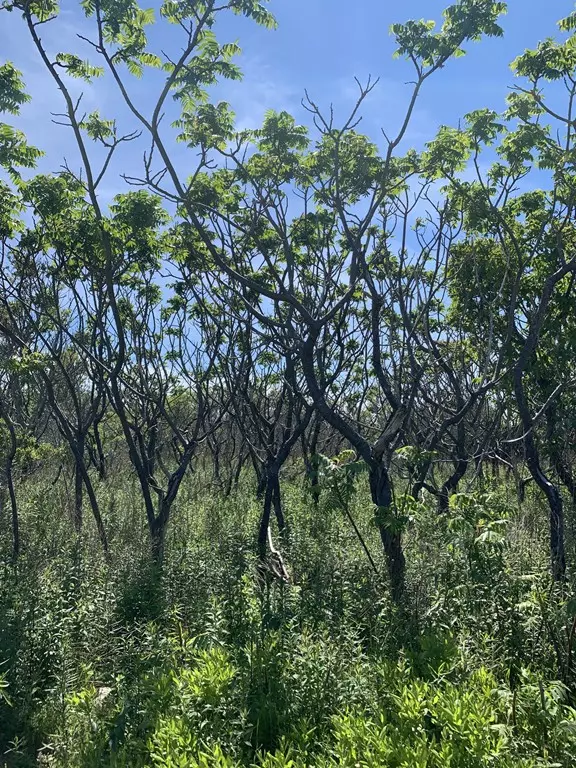 0 Mount Vernon St (Ns), New Bedford, MA 02740