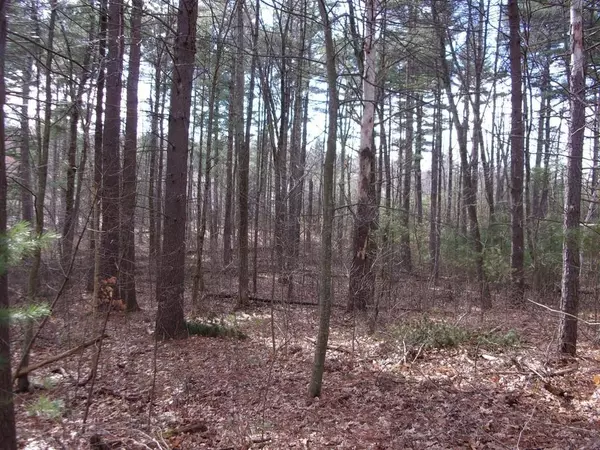 Ware, MA 01082,0 Beaver Rd Lot 4 & 5