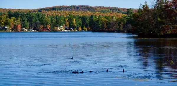 Southampton, MA 01073,46 Cottage Ave