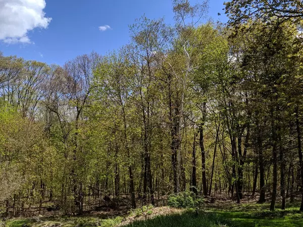 Leicester, MA 01611,0 Bethel Ave