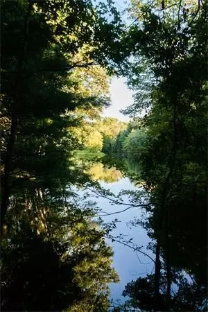 6A Nut Meadow Xing, Concord, MA 01742