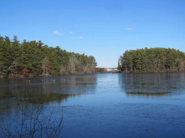 Carver, MA 02330,20-4 South Meadow Village