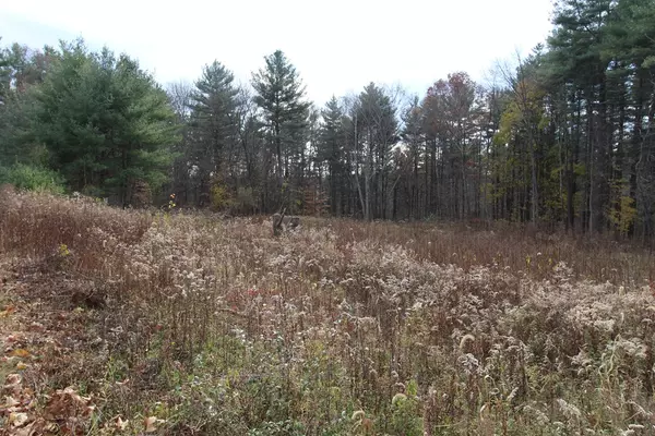 Millis, MA 02054,Lot 1C Frontier Lane