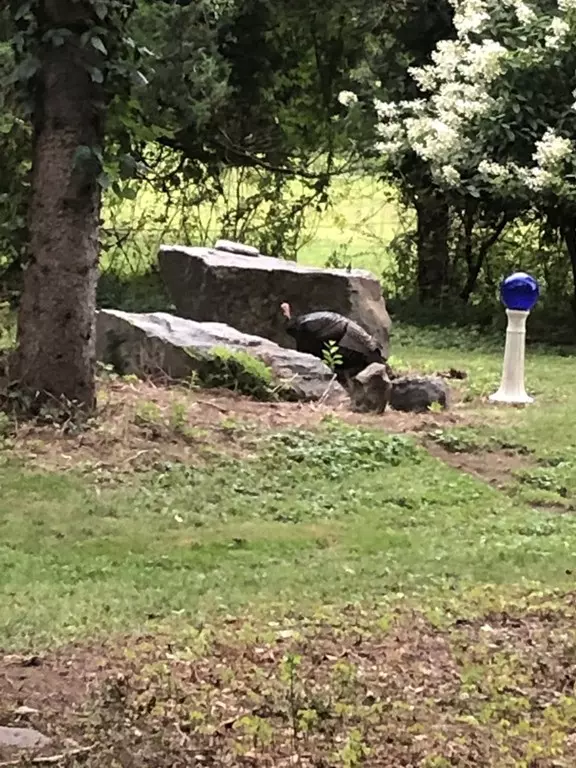 Easton, MA 02375,20 South Street