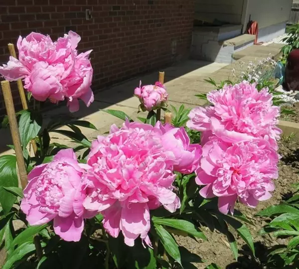 Agawam, MA 01001,12 Cosgrove Ave