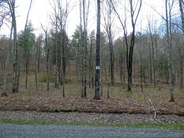 Gill, MA 01376,Lot 8 Ben Hale Road