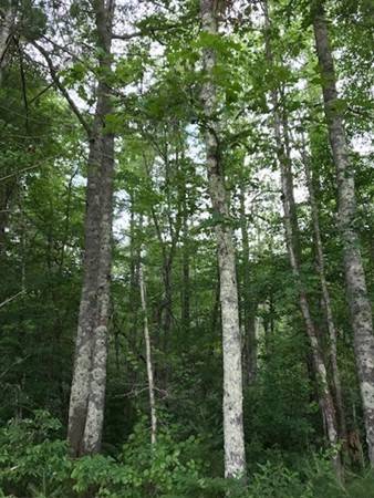 0 Prospect Road - Lot 2, Plympton, MA 02367