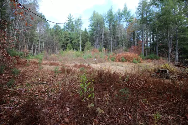 Charlemont, MA 01339,0 Maxwell Road