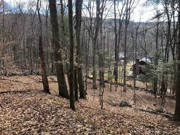 Huntington, MA 01050,24 Montgomery