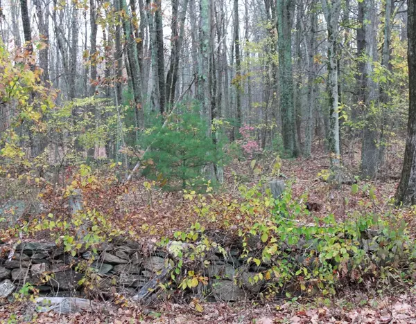 19 George Hill Road, Grafton, MA 01519