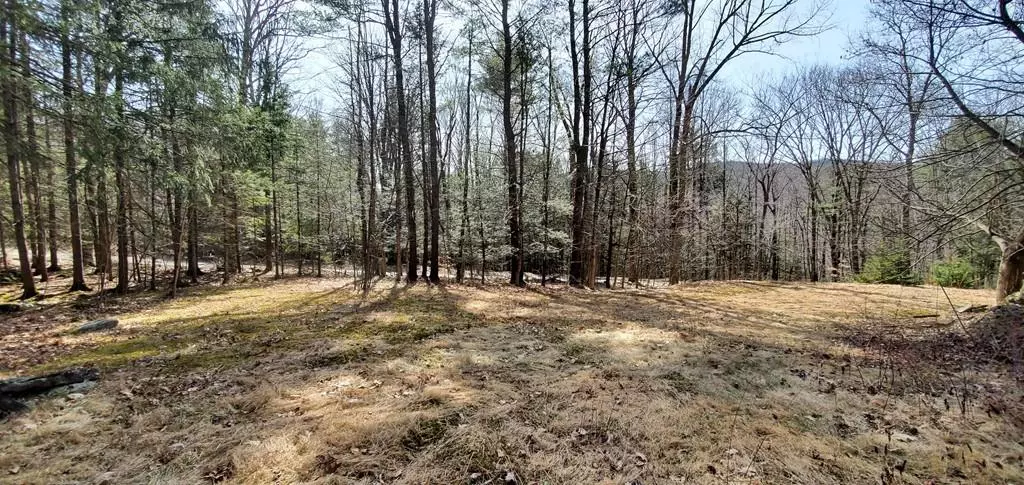 Montgomery, MA 01050,171 Lower Pomeroy Road