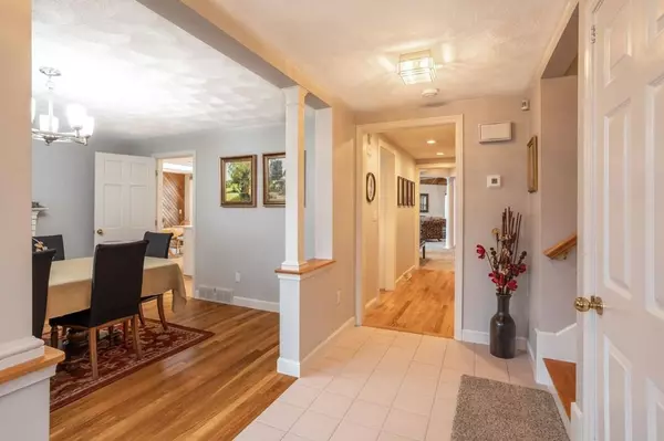 Framingham, MA 01701,20 Harrington Rd