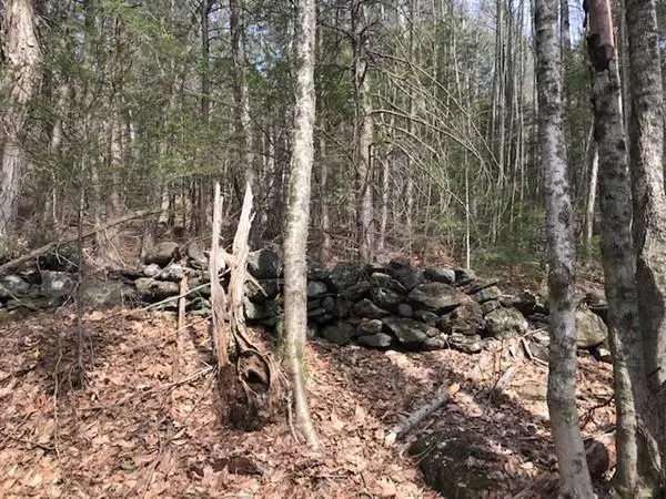 Buckland, MA 01338,0 Bray Rd