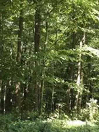 lot 2 Edwards Rd, Westhampton, MA 01073