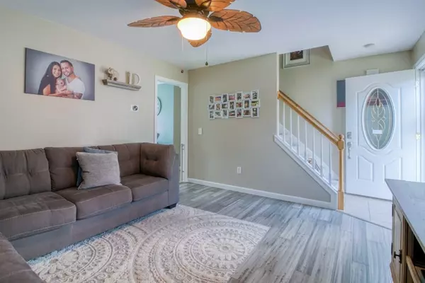Springfield, MA 01119,25 Bruce St