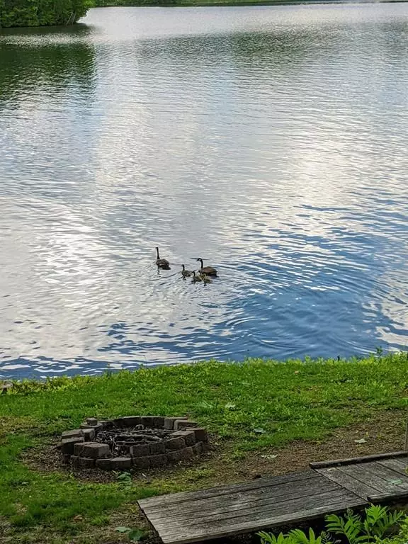 Cheshire, MA 01225,288 Shadowland Cove Rd