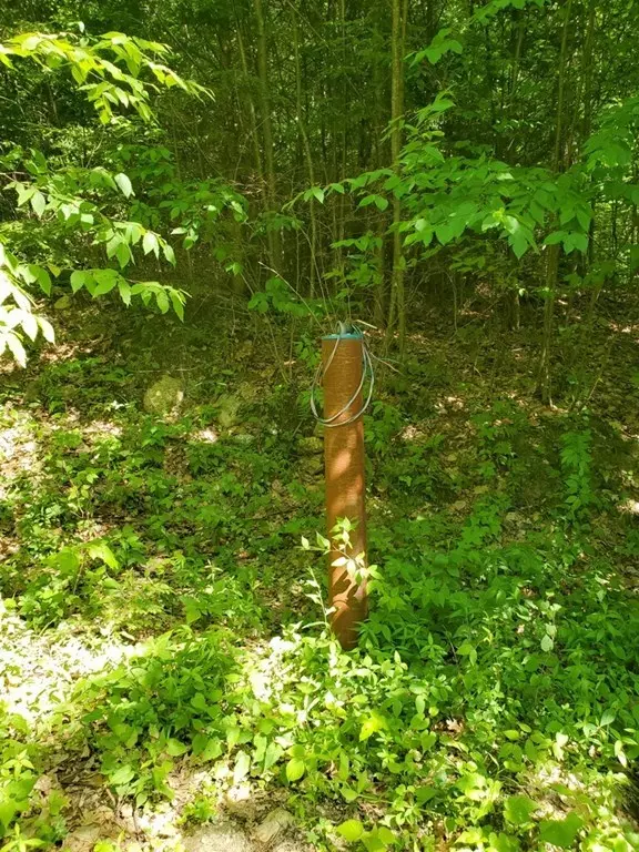 Northfield, MA 01360,Lot B Old Wendell Road