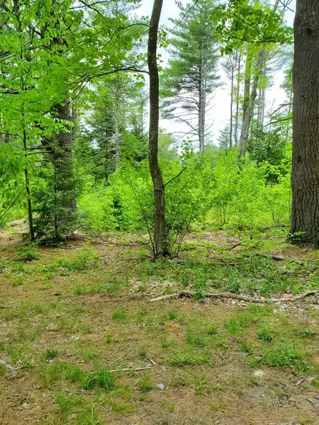 Lot 3 Sled Road, Ashburnham, MA 01430