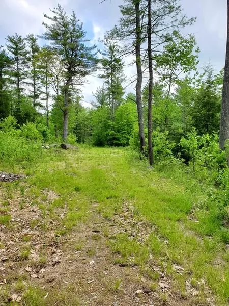 Lot 4 Sled Road, Ashburnham, MA 01430