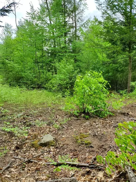 Lot 5 Sled Road, Ashburnham, MA 01430