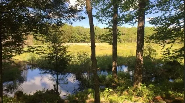 Washington, MA 01223,0 Watson Rd L:9
