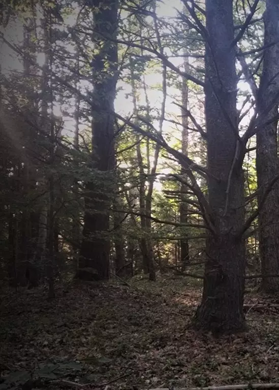 Hubbardston, MA 01452,Lot 5F Lombard Rd