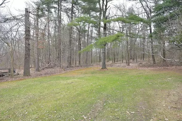 Plainville, MA 02762,20 Walnut St