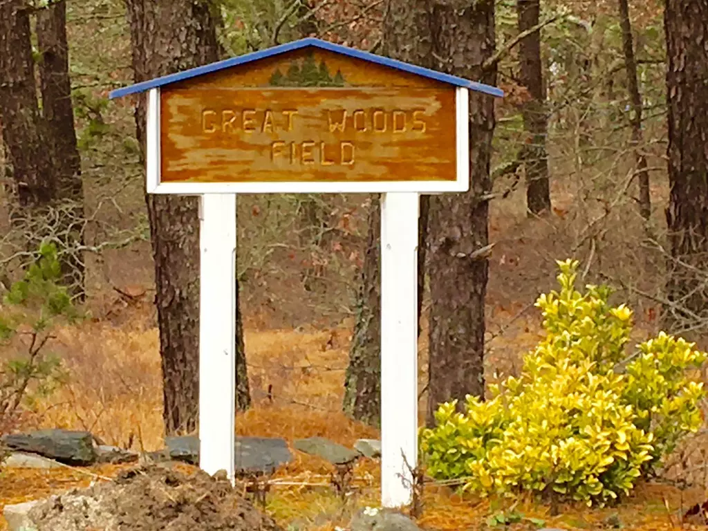 Wellfleet, MA 02667,140 Pinewood Cir