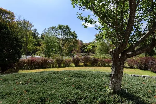 Stow, MA 01775,20 Hickory Lane